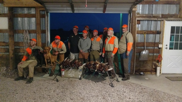 2019 Pheasant Season End Conclusions - Final Report